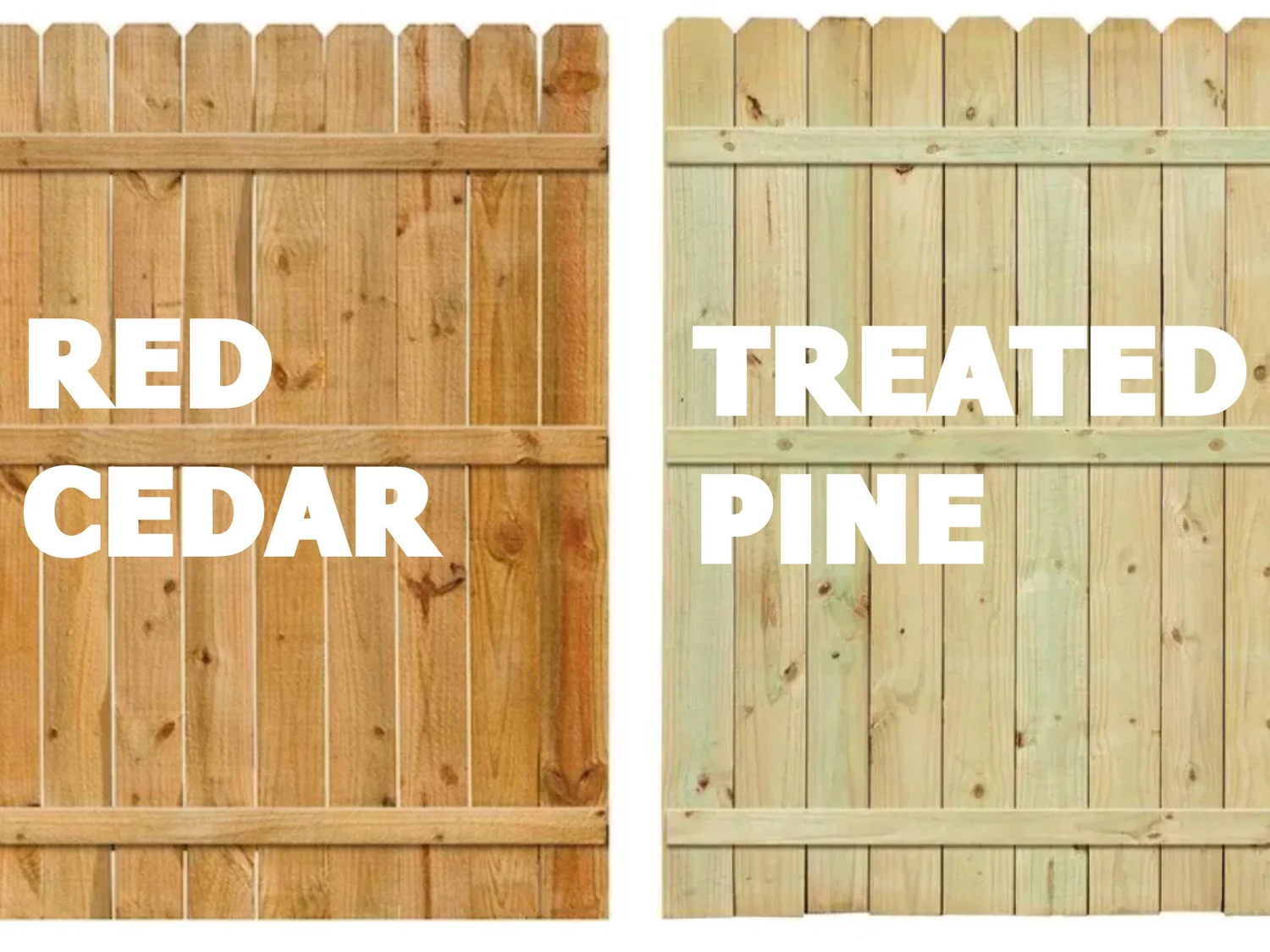 Comparison of cheap cedar and cheap pressure treated pine fence pickets